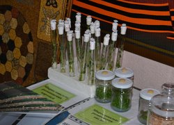 Міжнародна наукова конференція "Селекційно-генетична наука і освіта"